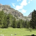 DSCN00028