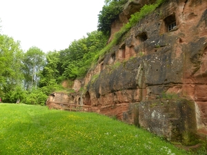 DSCN0722