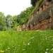 DSCN0723