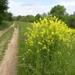 DSCN0728
