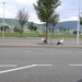 DSCN0729