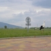 DSCN0731