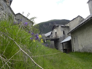 DSCN0762