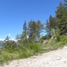 DSCN0778