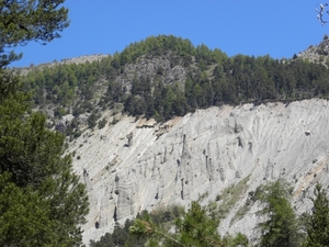 DSCN0780