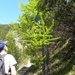 DSCN0793