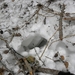 DSCN0794