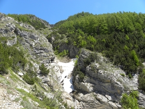 DSCN0797
