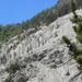 DSCN0799