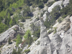 DSCN0801