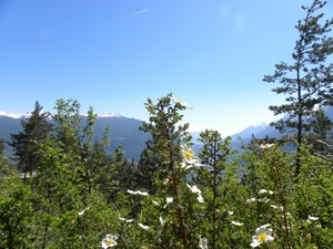 DSCN0802