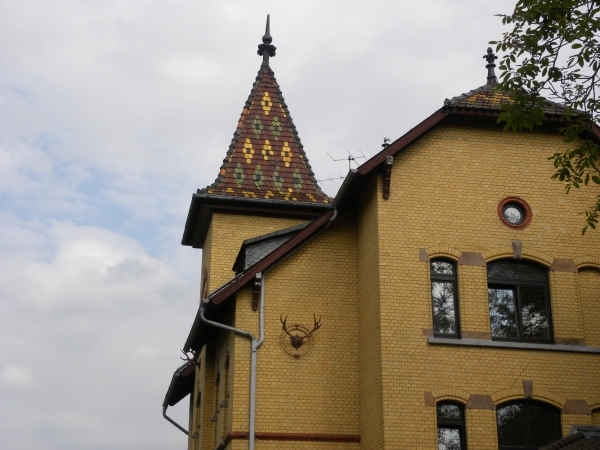 DSCN0721