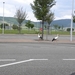 DSCN0729