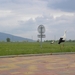 DSCN0731