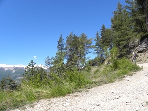 DSCN0778