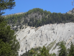 DSCN0780