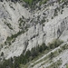 DSCN0787