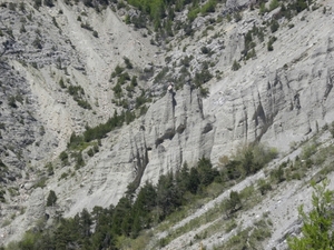 DSCN0787