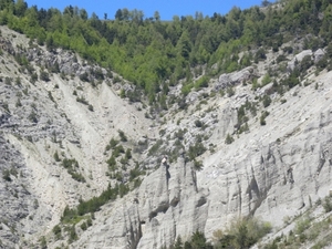 DSCN0788