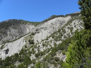 DSCN0792