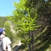 DSCN0793