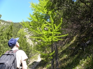 DSCN0793