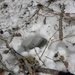 DSCN0794