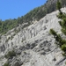 DSCN0799