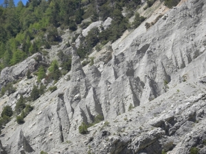DSCN0800