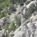 DSCN0801