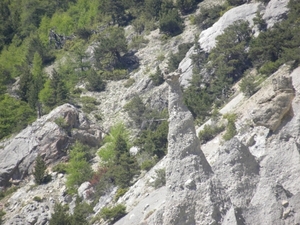 DSCN0801