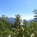 DSCN0802