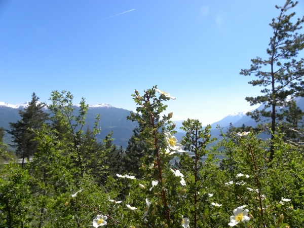DSCN0802