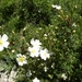 DSCN0803