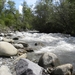 DSCN0806