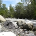 DSCN0807