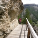 DSCN0815