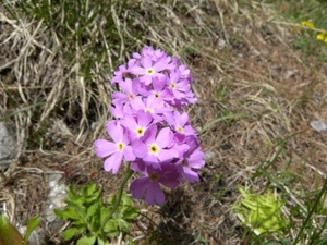 DSCN0817