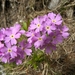 DSCN0818
