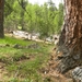 DSCN0820