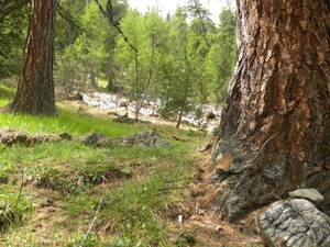 DSCN0820
