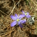 DSCN0822