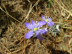 DSCN0822