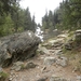 DSCN0829