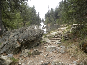 DSCN0829