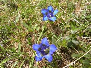 DSCN0831