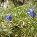 DSCN0832