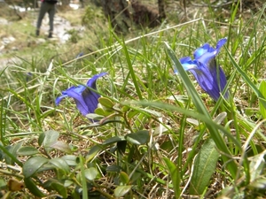 DSCN0832