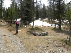 DSCN0835