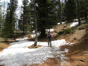 DSCN0836